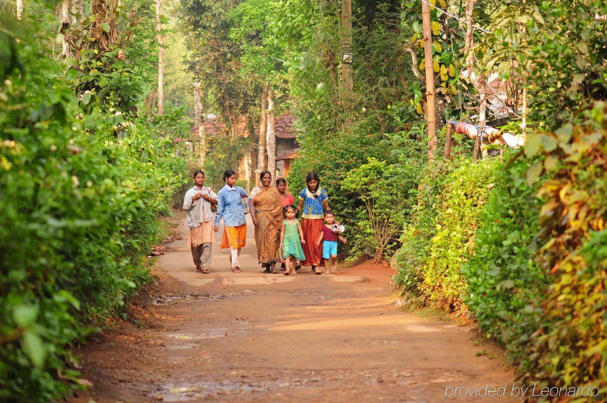 Evolve Back Coorg Hotel Hassan Facilities photo